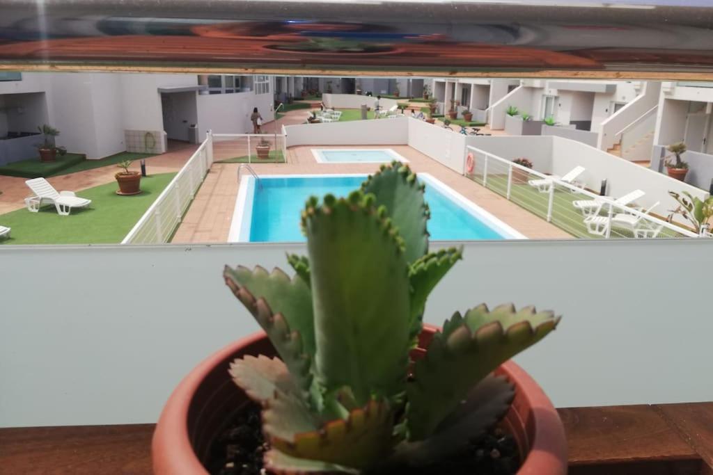 Blue Ocean Corralejo: Sunny Terrace, Pool, Wifi Appartement Buitenkant foto